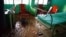 Reportan inundación en la sala de un hospital en Cuba