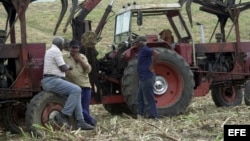 ARCHIVO. Campesinos conversan junto a una cortadora-alzadora.