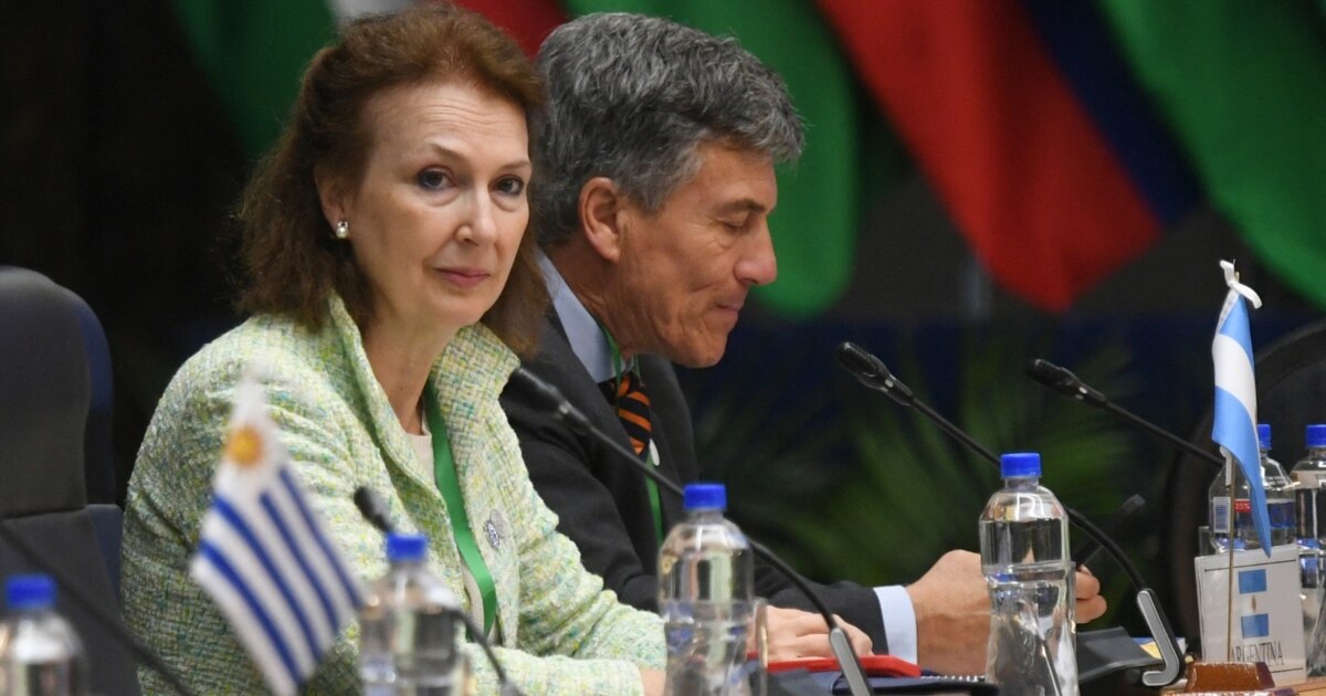Milei expulsa a canciller argentina por votar contra el embargo a Cuba ...