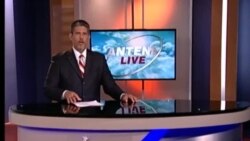 Antena Live