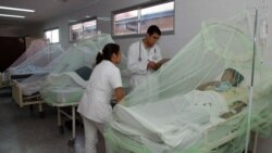El dengue hace abortar las "Noches holguineras"