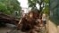 Cuba left without electricity after hit from Hurricane Rafael