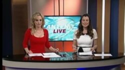 Antena Live