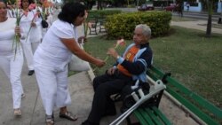 Cubanos responden a encuesta: ¿Hay oposición en Cuba?