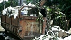 Hoy con Adrian y Guillermo del Sol, Pedro Acosta, Adriano Castañeda, Anderlay Guerra, Leydis Tabares, Carlos Amel Oliva y María Elena Cruz Varela 