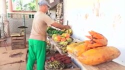 Conseguir frutas en Cuba no es fácil: intermediarios, clima, transporte y precios