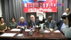 Denuncian en Miami cómo se falseó el referendo en Cuba