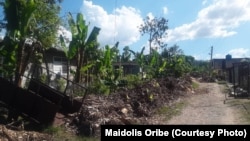 Basura sin recoger desde el paso del Huracán Melissa mantiene calles bloqueadas