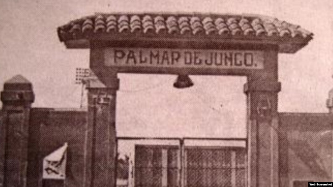 Estadio-Palmar-de-Junco 