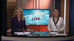 Antena Live