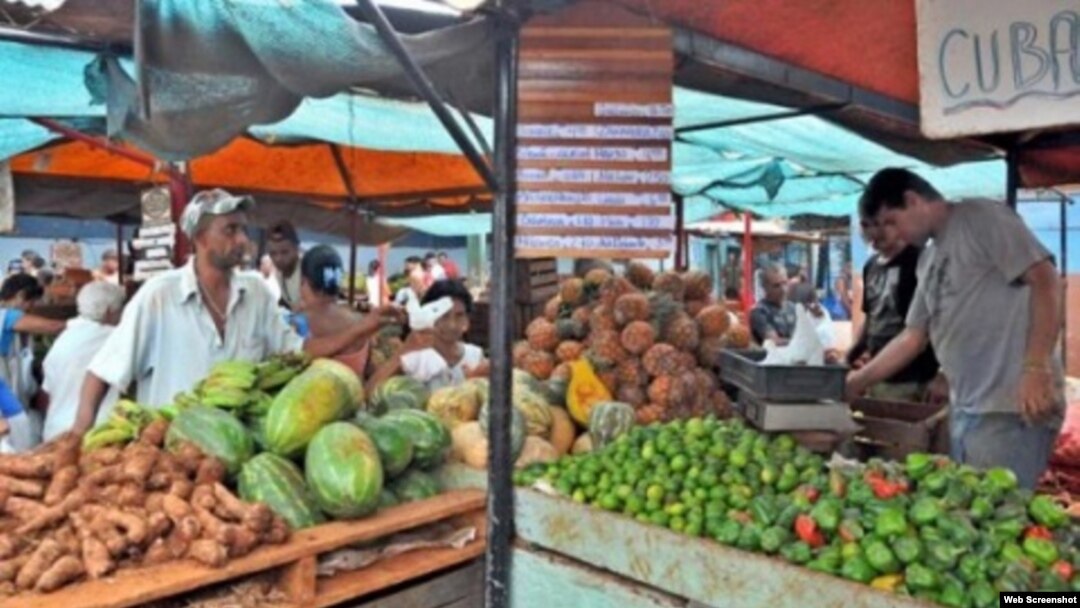 Carretilleros y placitas agropecuarias en Guantánamo