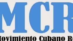 Informe parcial del Movimiento Cubano Reflexión