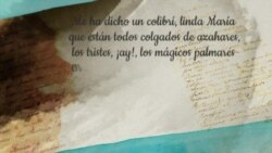 "Me ha dicho un colibrí, linda María...