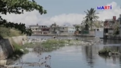 Contaminación ambiental golpea a vecindarios del río Quibú