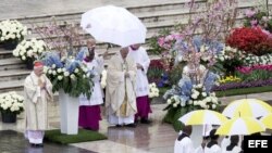 El Papa Francisco en la misa del Domingo de Ramos. 