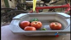 Manifiestan los cubanos su descontento con la canasta básica