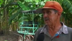 Campesinos cubanos piden mejores tierras, utensilios de trabajo e infraestructura efectiva
