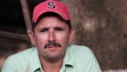 1800 Online con Eliecer Palma