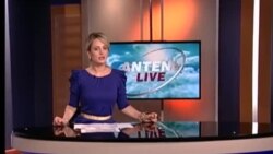 Antena Live