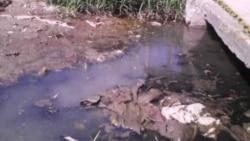 Dununcian insalubridad en municipio de Las Tunas