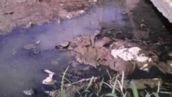 Casos de cólera en Santi Spíritus y los silencios gubernamentales