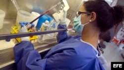 Los hispanos tienen menos riesgos de padecer de Osteoporosis.