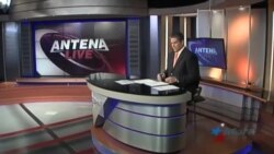 Antena Live