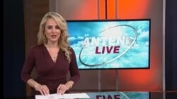Antena Live
