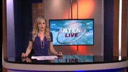Antena Live