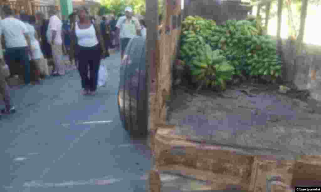Reporta Cuba Ferias del Agro Guantanano Foto Niover García