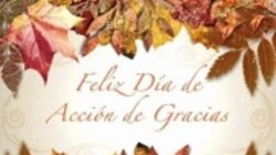 Dando gracias