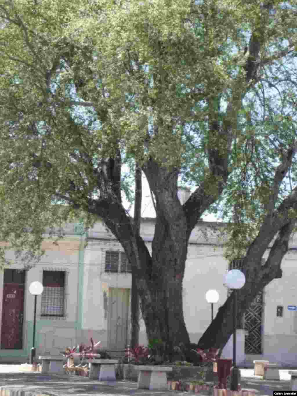 &nbsp;Parque del Pintor