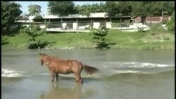 Guantanameros se quejan de la contaminación de los ríos