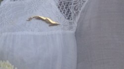 Dama de Blanco en huelga de hambre