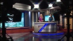 Antena Live