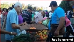 Cuentapropista vende frutas y viandas en un mercado. (Captura de video/ASIC)