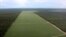 Plantaciones de soja