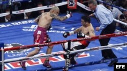 Sergio 'Maravilla' Martínez cae al piso durante la pelea con Miguel Cotto