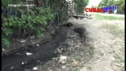 Dengue prolifera a causa de insalubridad en la isla