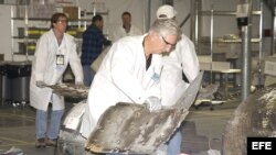 Fragmentos del Columbia