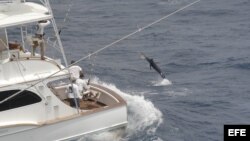 Imagen de archivo de un torneo de pesca de la aguja