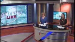Antena Live
