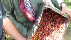 Hoy con Javier Larrondo, Teresa Miranda, Rosa Esther Cainet, Santiago Márquez, Tania de la Torre, Ramón Zamora, Roberto Serrano y María Elena Cruz Varela 