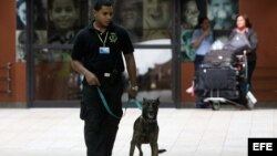 Un oficial del Cuerpo de Seguridad Aeroportuaria utiliza un perro en la búsqueda de drogas en las maletas de los pasajeros hoy