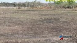 La sequía afecta gravemente a la población cubana