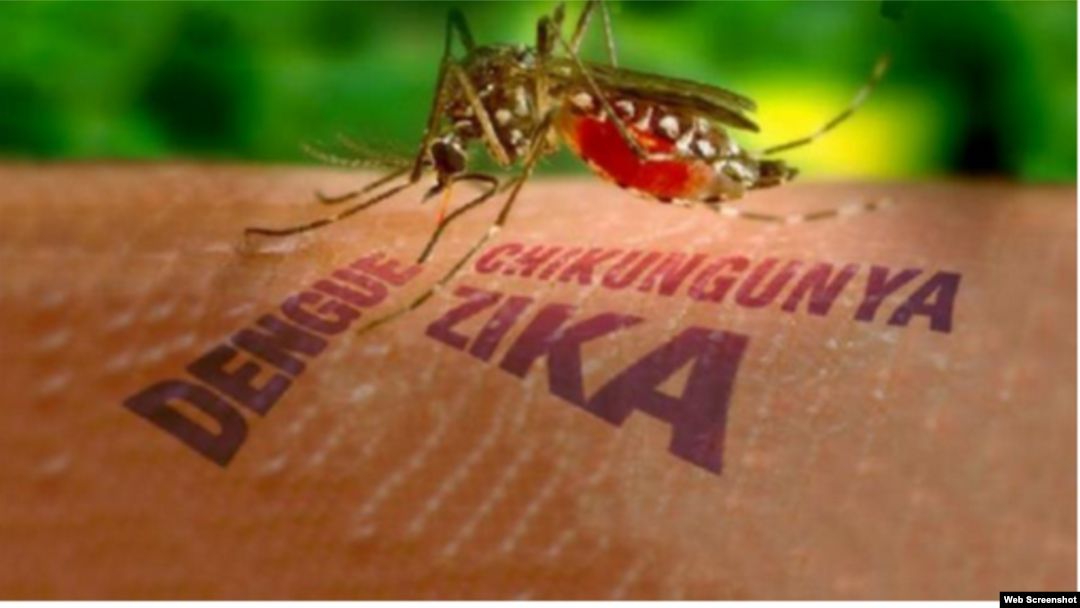 Cuba advierte sobre riesgos asociados al virus del Zika.