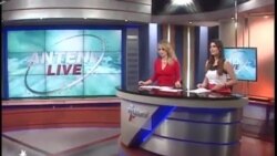 Antena Live
