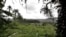 Sierra Leona.