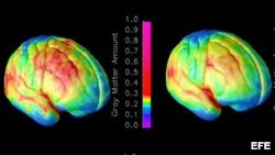 Fotografía de archivo. 