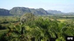 Vista de Viñales.